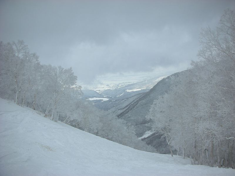 snow2007 (35).jpg